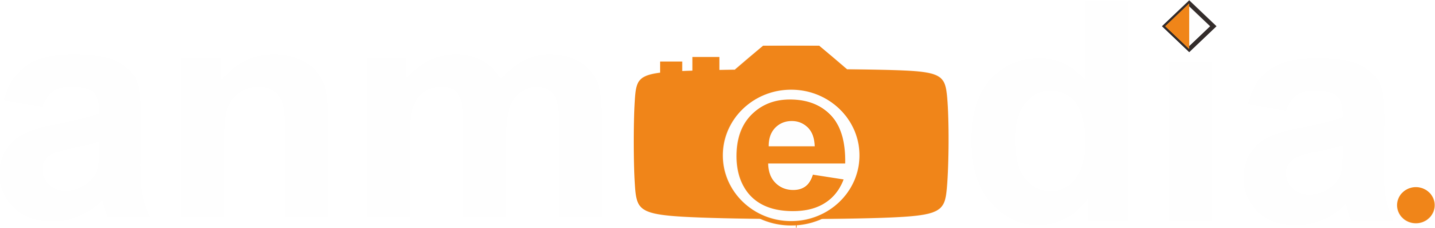 Anmedia
